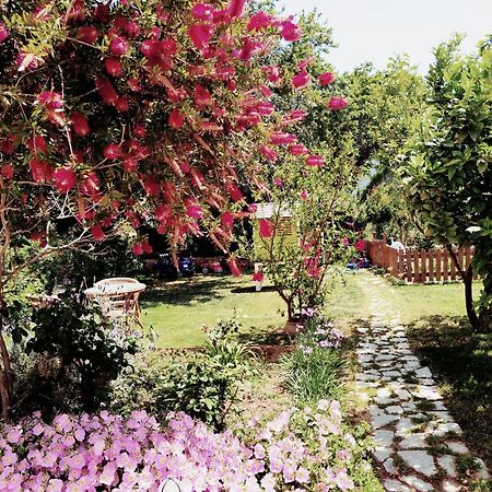 Plakias River Apartment المظهر الخارجي الصورة